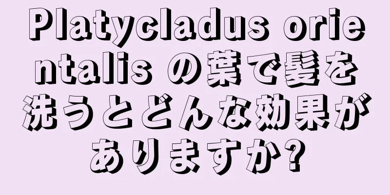 Platycladus orientalis の葉で髪を洗うとどんな効果がありますか?