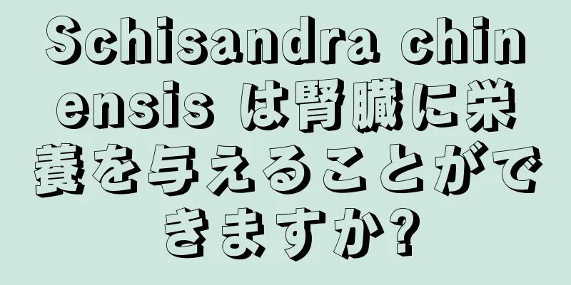 Schisandra chinensis は腎臓に栄養を与えることができますか?