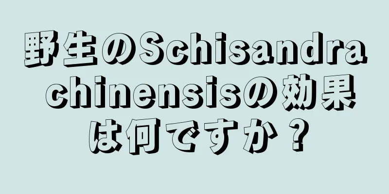 野生のSchisandra chinensisの効果は何ですか？