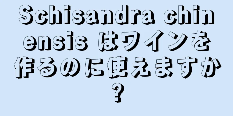 Schisandra chinensis はワインを作るのに使えますか?