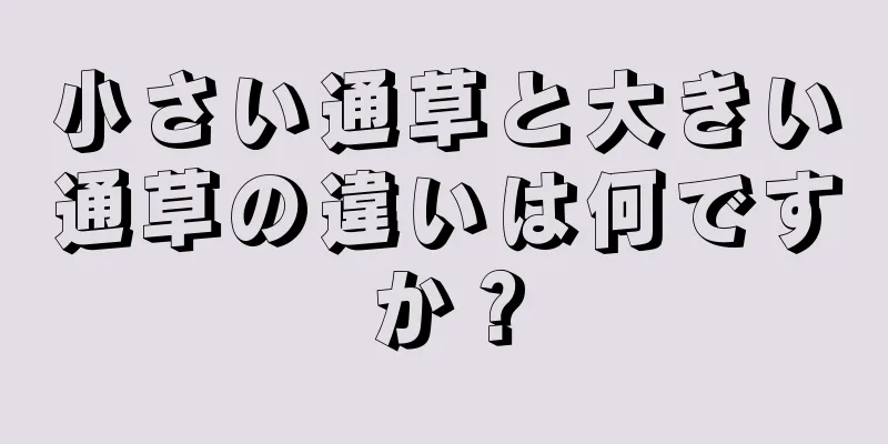 小さい通草と大きい通草の違いは何ですか？