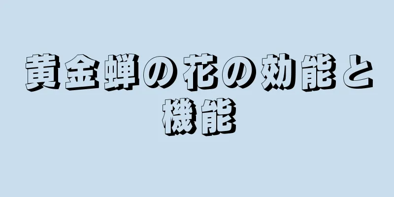 黄金蝉の花の効能と機能