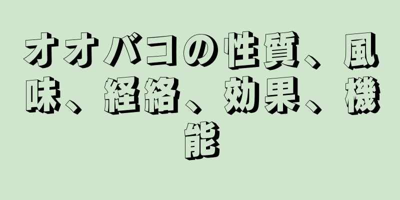 オオバコの性質、風味、経絡、効果、機能