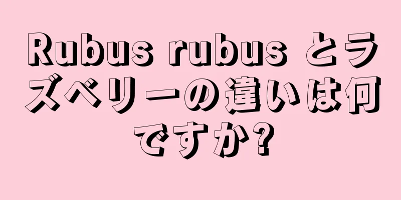 Rubus rubus とラズベリーの違いは何ですか?