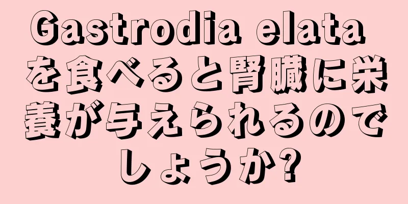 Gastrodia elata を食べると腎臓に栄養が与えられるのでしょうか?