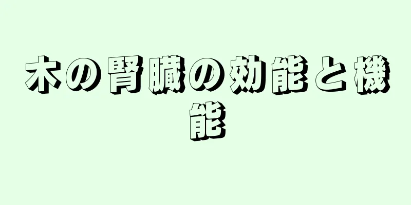 木の腎臓の効能と機能