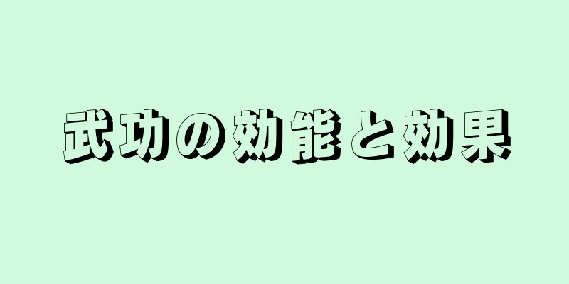 武功の効能と効果