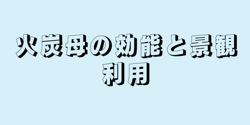 火炭母の効能と景観利用