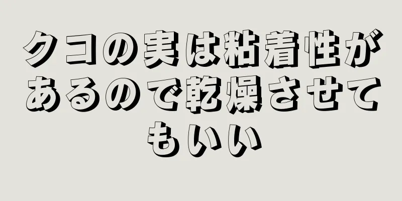 クコの実は粘着性があるので乾燥させてもいい