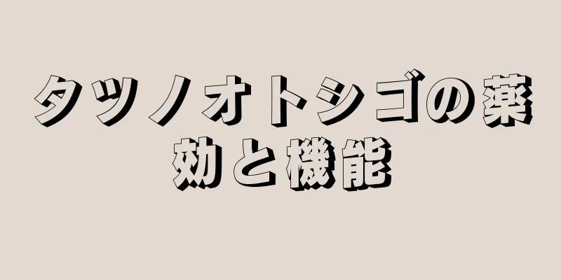 タツノオトシゴの薬効と機能