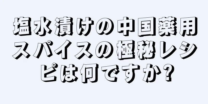 塩水漬けの中国薬用スパイスの極秘レシピは何ですか?