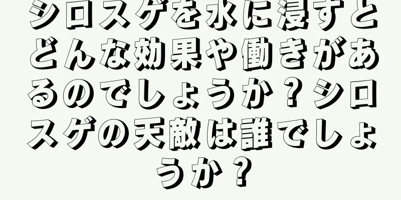 シロスゲを水に浸すとどんな効果や働きがあるのでしょうか？シロスゲの天敵は誰でしょうか？