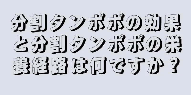 分割タンポポの効果と分割タンポポの栄養経路は何ですか？