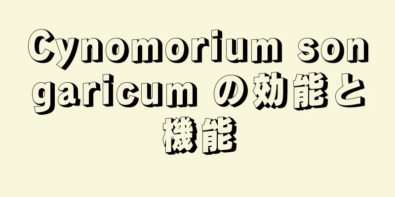 Cynomorium songaricum の効能と機能