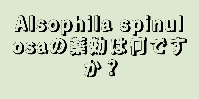 Alsophila spinulosaの薬効は何ですか？