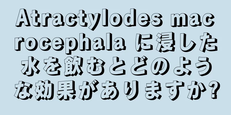 Atractylodes macrocephala に浸した水を飲むとどのような効果がありますか?