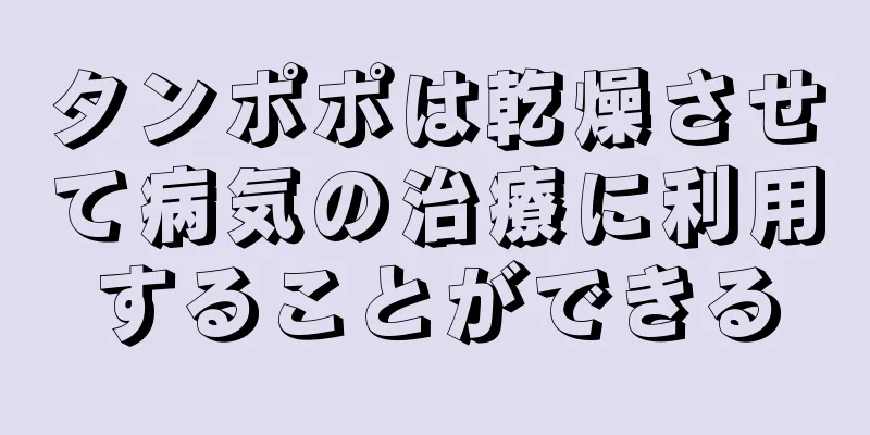 タンポポは乾燥させて病気の治療に利用することができる