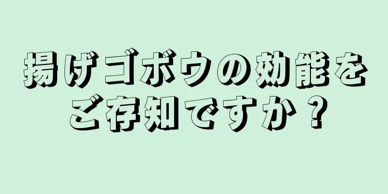 揚げゴボウの効能をご存知ですか？