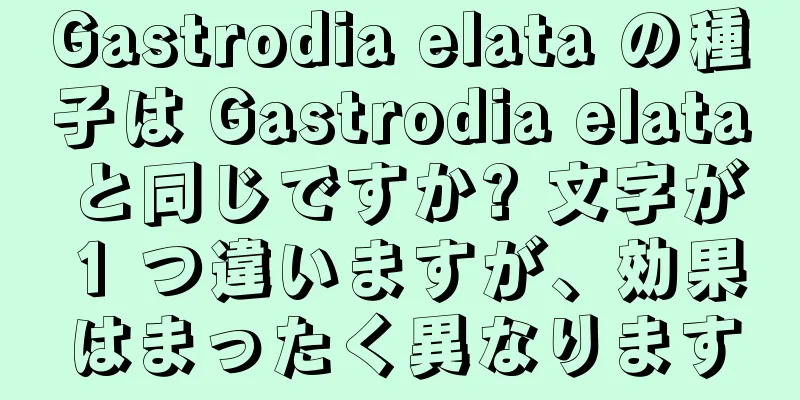 Gastrodia elata の種子は Gastrodia elata と同じですか? 文字が 1 つ違いますが、効果はまったく異なります