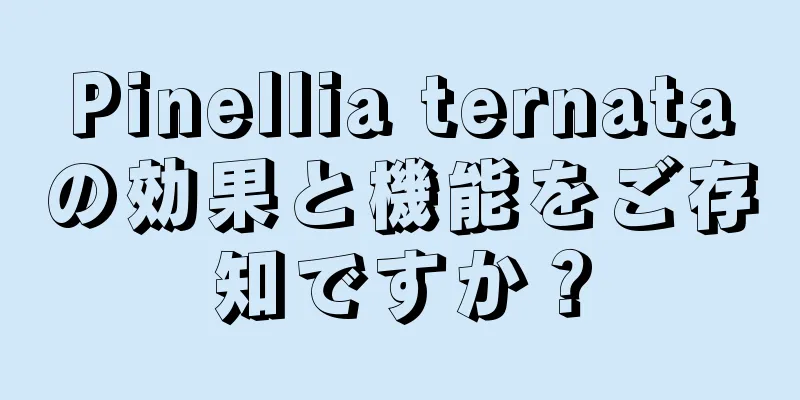 Pinellia ternataの効果と機能をご存知ですか？