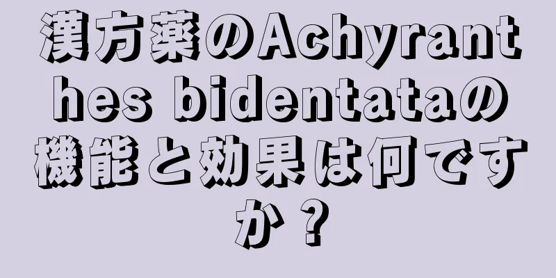 漢方薬のAchyranthes bidentataの機能と効果は何ですか？
