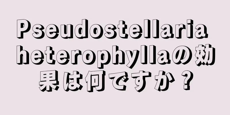 Pseudostellaria heterophyllaの効果は何ですか？