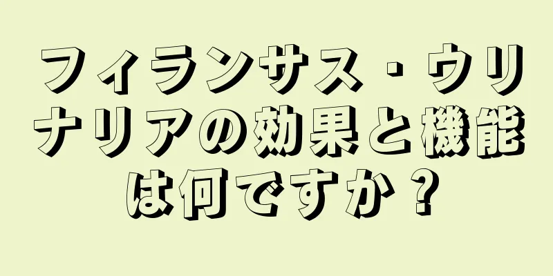フィランサス・ウリナリアの効果と機能は何ですか？