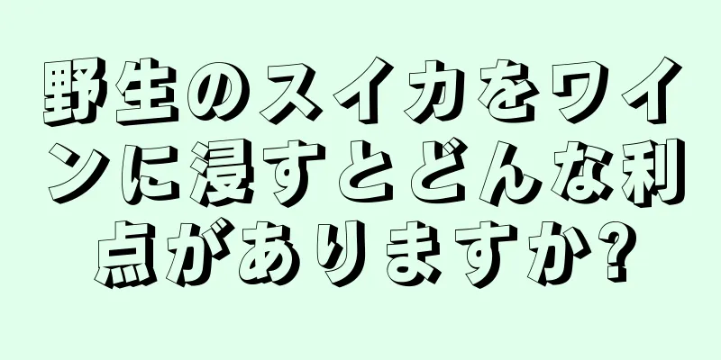 野生のスイカをワインに浸すとどんな利点がありますか?