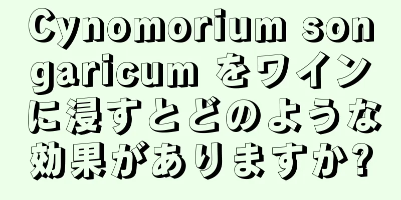 Cynomorium songaricum をワインに浸すとどのような効果がありますか?