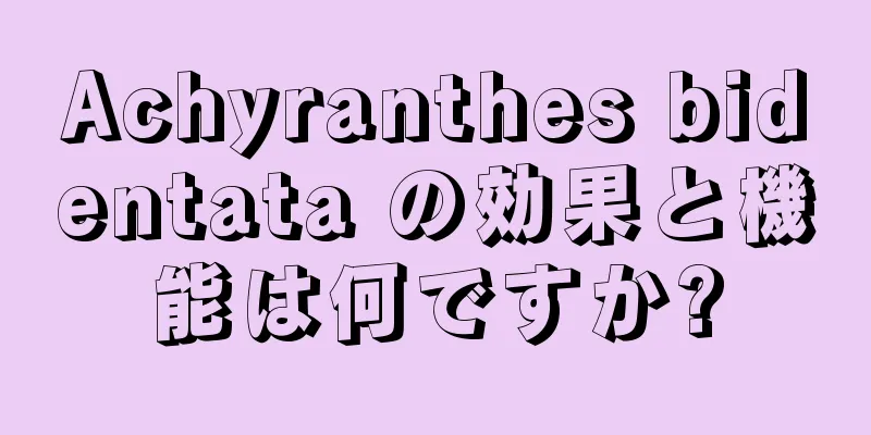 Achyranthes bidentata の効果と機能は何ですか?