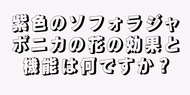 紫色のソフォラジャポニカの花の効果と機能は何ですか？