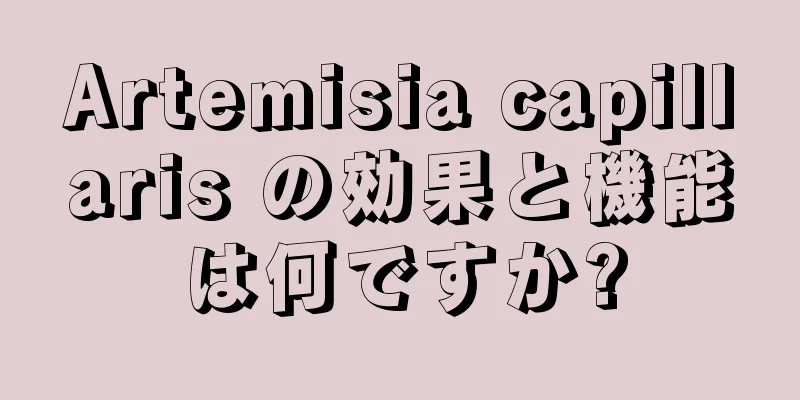 Artemisia capillaris の効果と機能は何ですか?