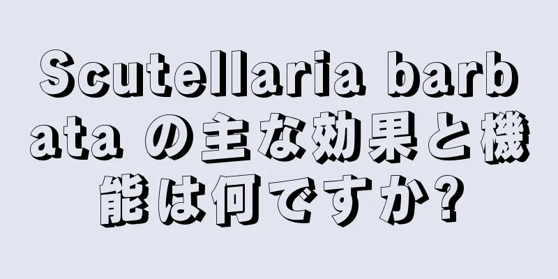 Scutellaria barbata の主な効果と機能は何ですか?