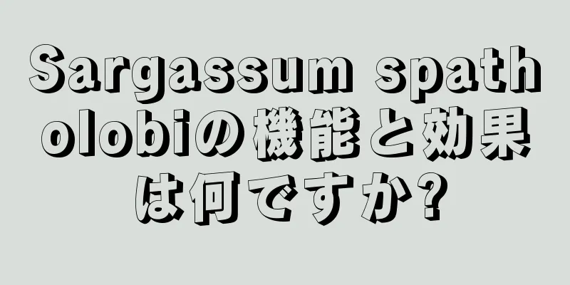 Sargassum spatholobiの機能と効果は何ですか?