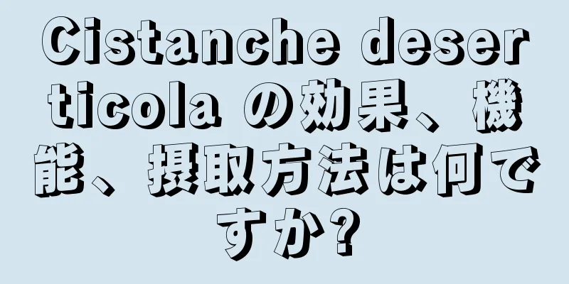 Cistanche deserticola の効果、機能、摂取方法は何ですか?