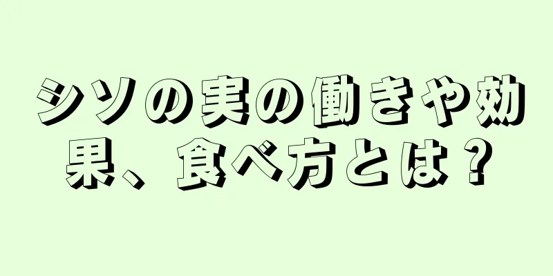 シソの実の働きや効果、食べ方とは？