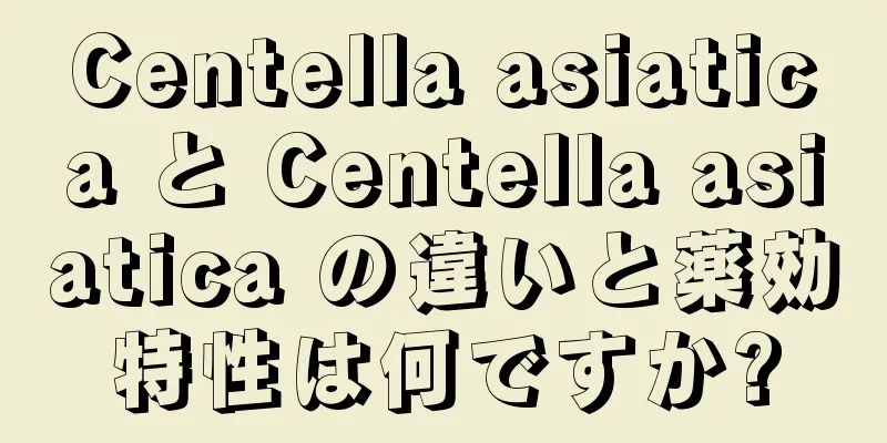 Centella asiatica と Centella asiatica の違いと薬効特性は何ですか?