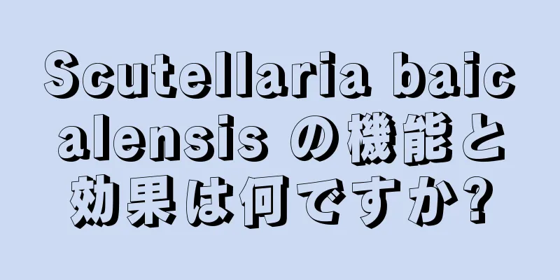Scutellaria baicalensis の機能と効果は何ですか?