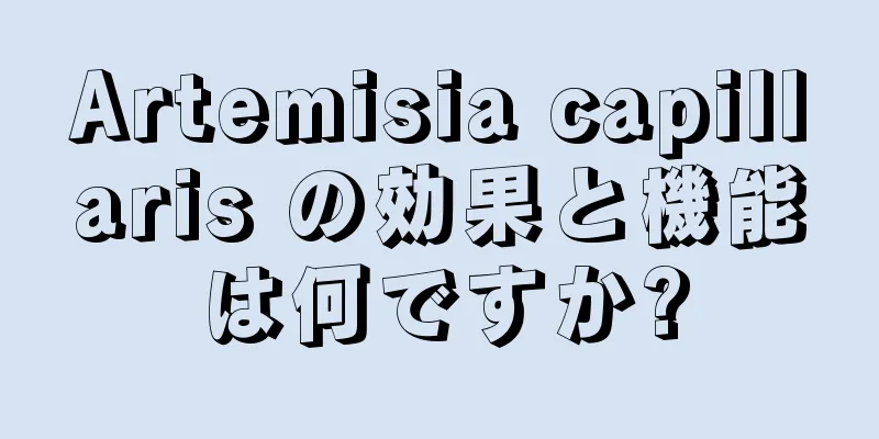 Artemisia capillaris の効果と機能は何ですか?
