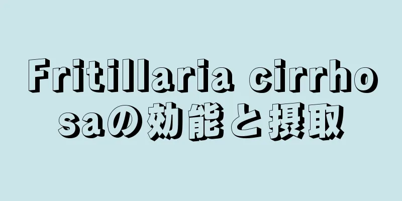 Fritillaria cirrhosaの効能と摂取