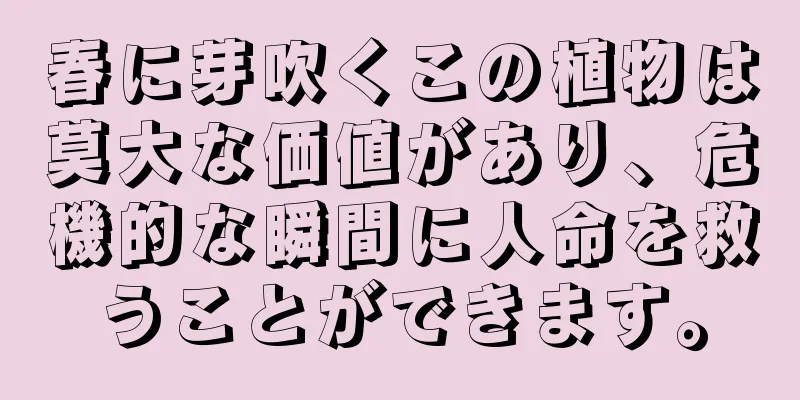 春に芽吹くこの植物は莫大な価値があり、危機的な瞬間に人命を救うことができます。