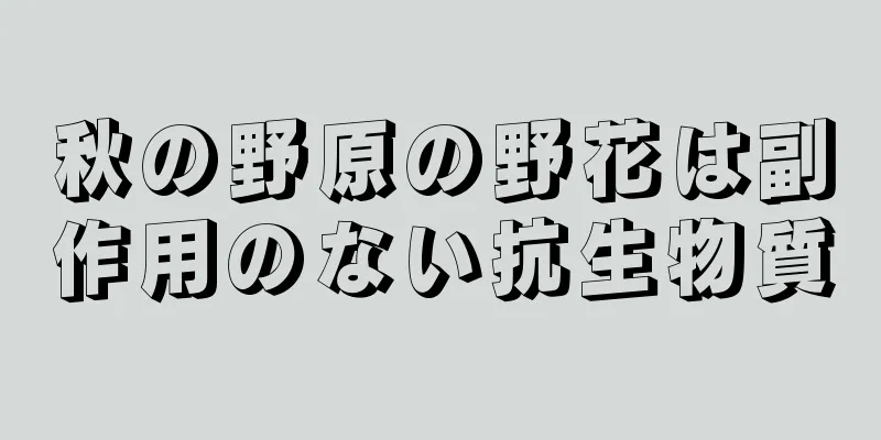 秋の野原の野花は副作用のない抗生物質