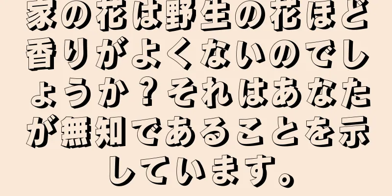 家の花は野生の花ほど香りがよくないのでしょうか？それはあなたが無知であることを示しています。