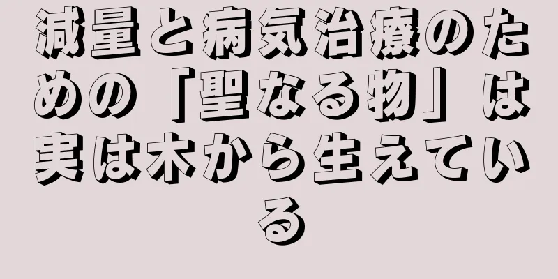 減量と病気治療のための「聖なる物」は実は木から生えている