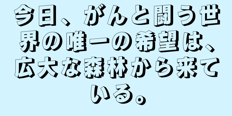 今日、がんと闘う世界の唯一の希望は、広大な森林から来ている。
