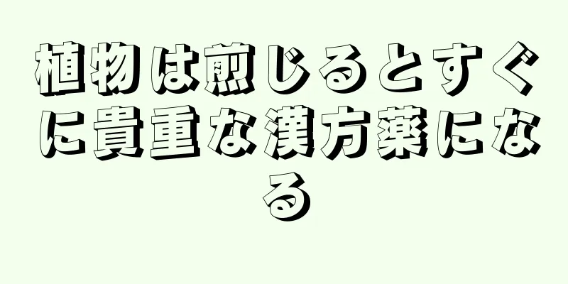 植物は煎じるとすぐに貴重な漢方薬になる