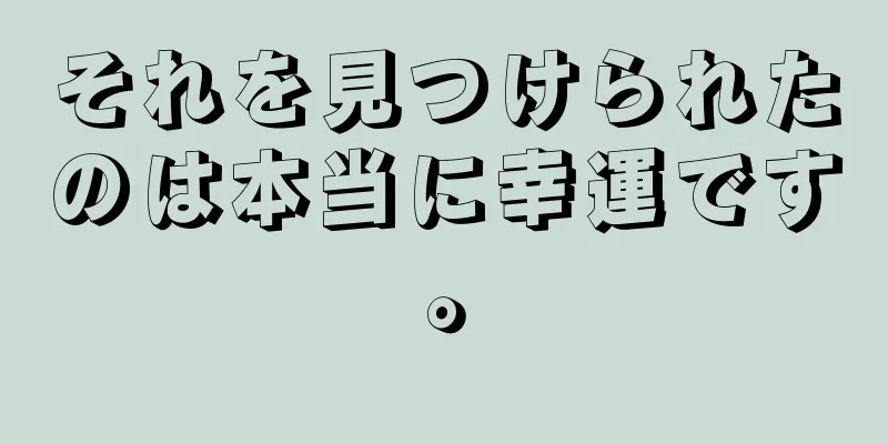 それを見つけられたのは本当に幸運です。