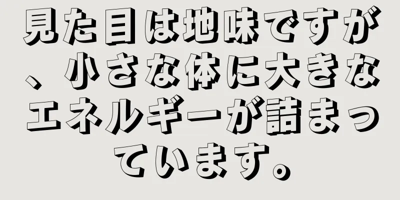 見た目は地味ですが、小さな体に大きなエネルギーが詰まっています。
