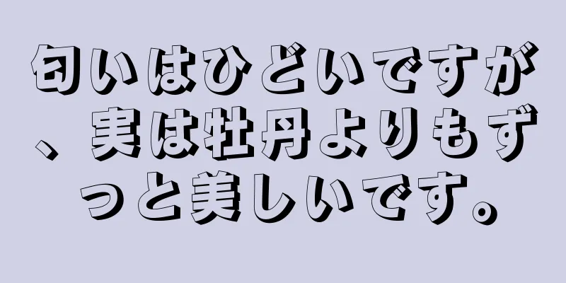 匂いはひどいですが、実は牡丹よりもずっと美しいです。