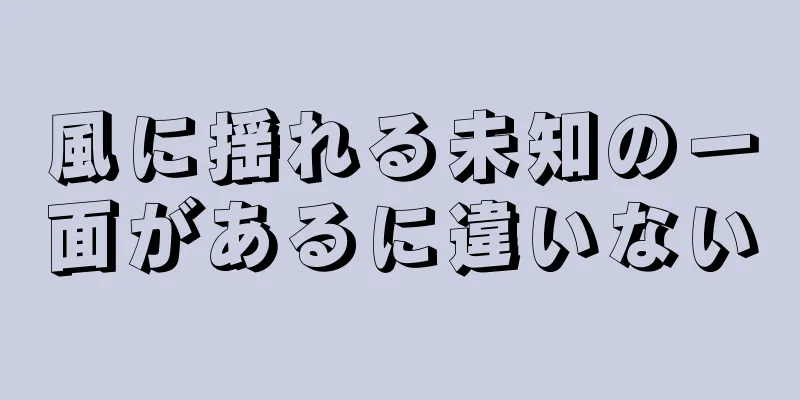 風に揺れる未知の一面があるに違いない